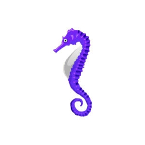 Plum Seahorse